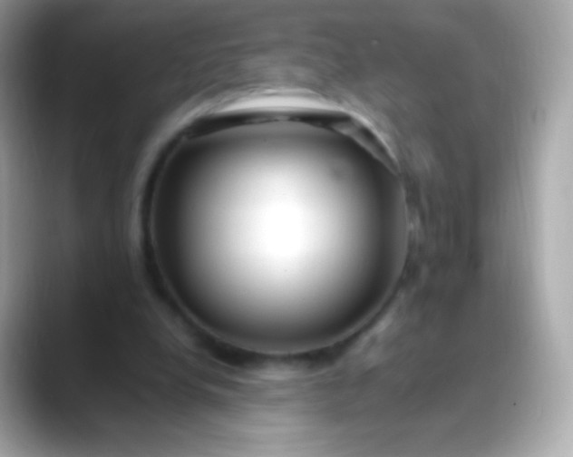 X0000088460248200706051329