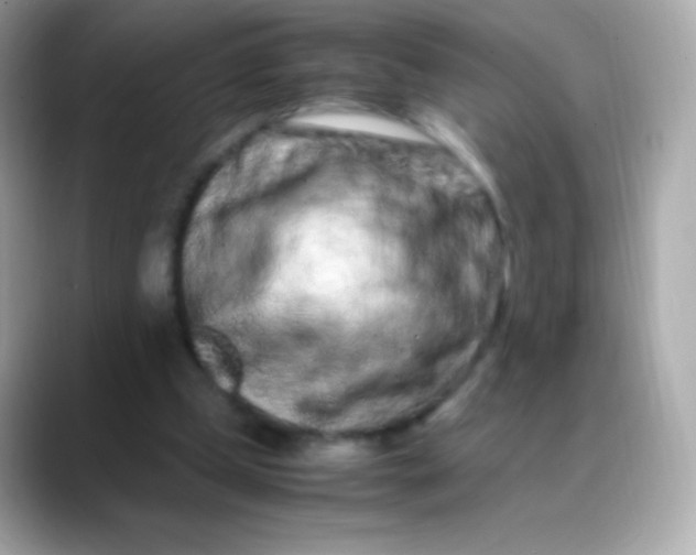 X0000088460249200706051329