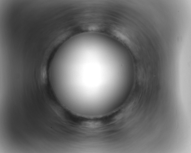 X0000088460251200706051329