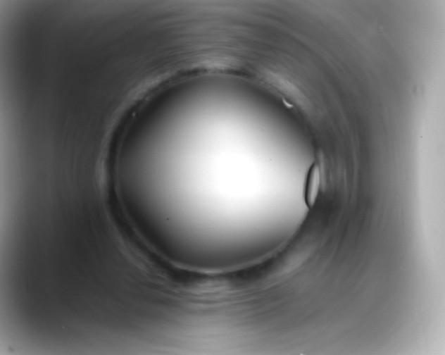 X0000088460252200706051329