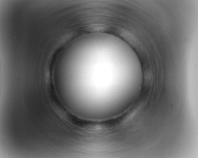 X0000088460254200706051329