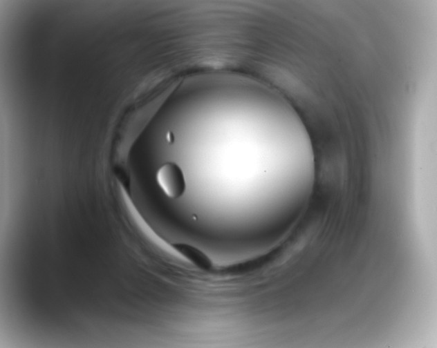 X0000088460256200706051329