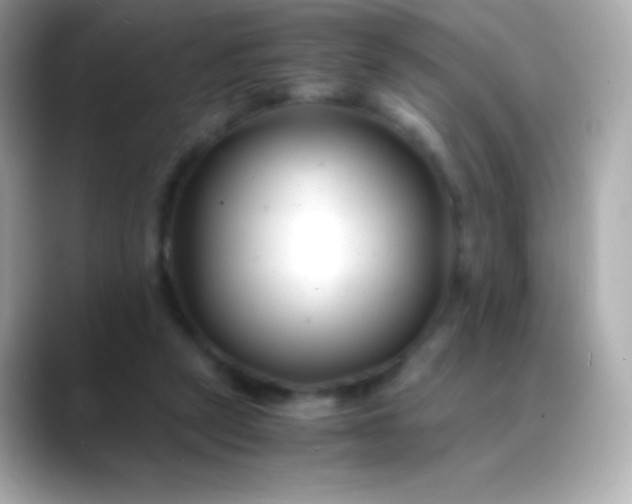 X0000088460257200706051329