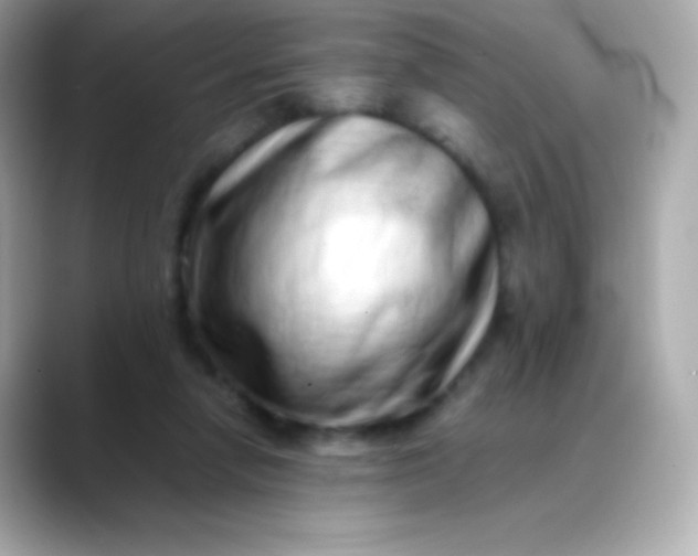 X0000088460258200706051329