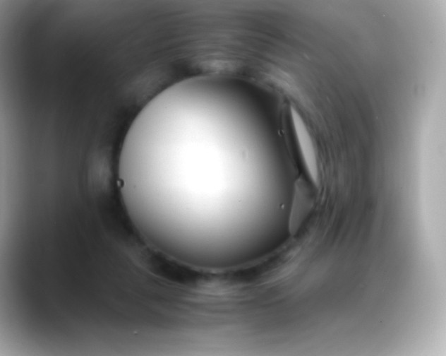 X0000088460259200706051329