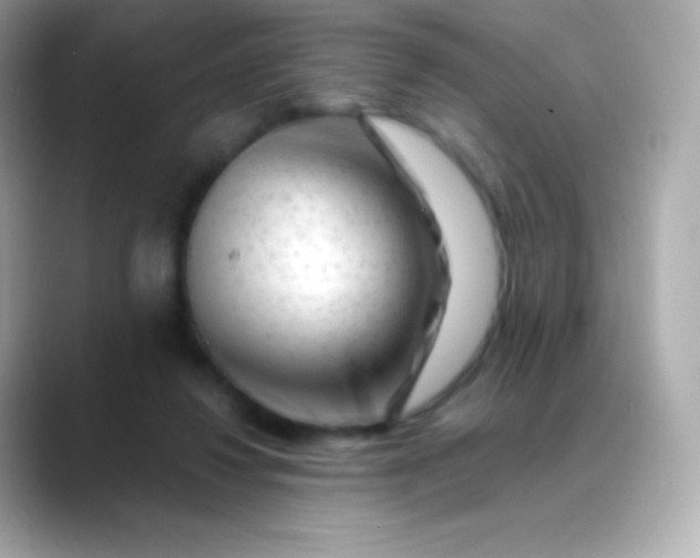 X0000088460260200706051329