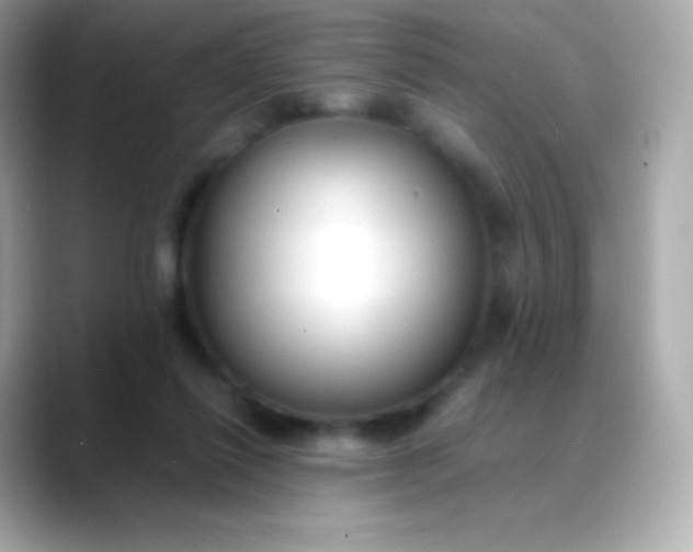 X0000088460262200706051329