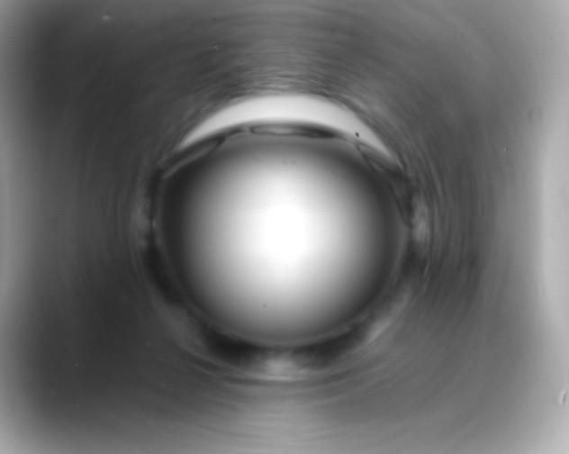 X0000088460264200706051329