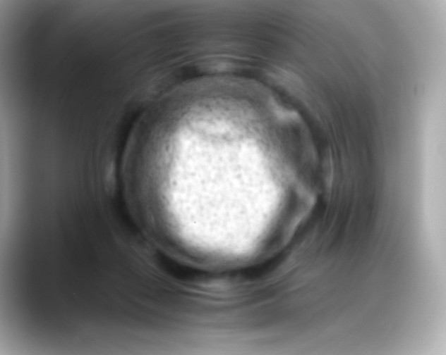 X0000088460267200706051329