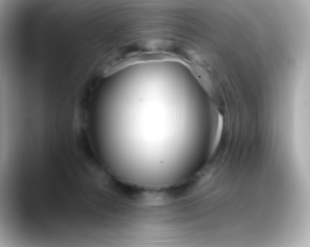 X0000088460272200706051329