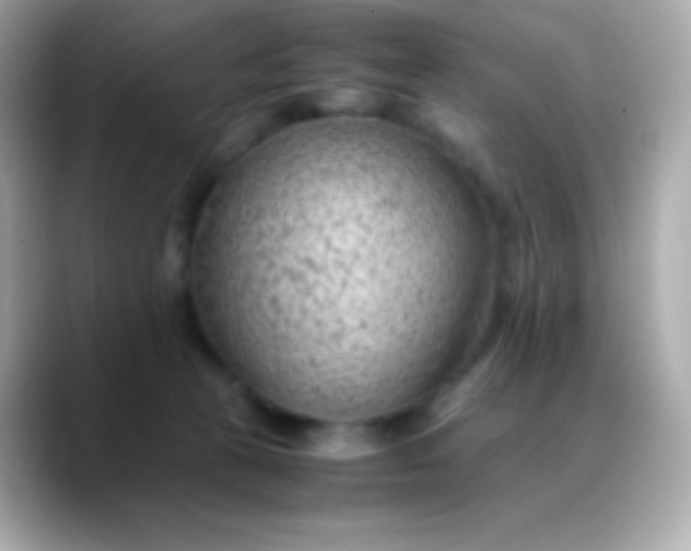 X0000088460273200706051329