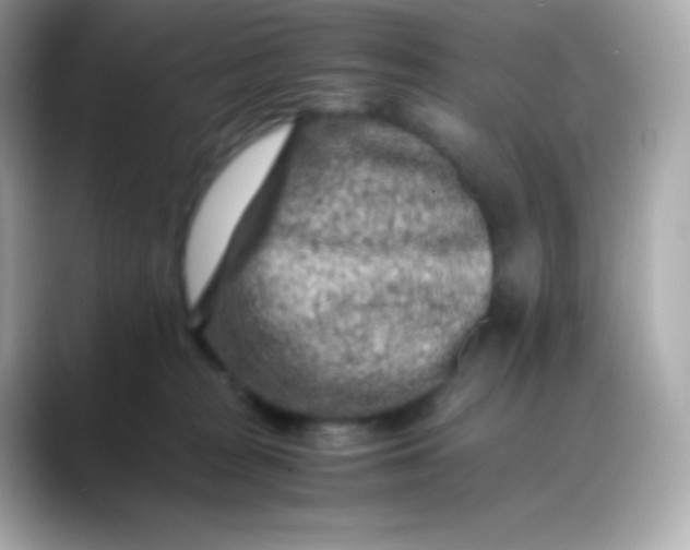 X0000088460277200706051330