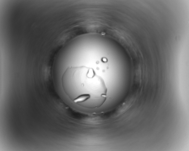 X0000088460278200706051330