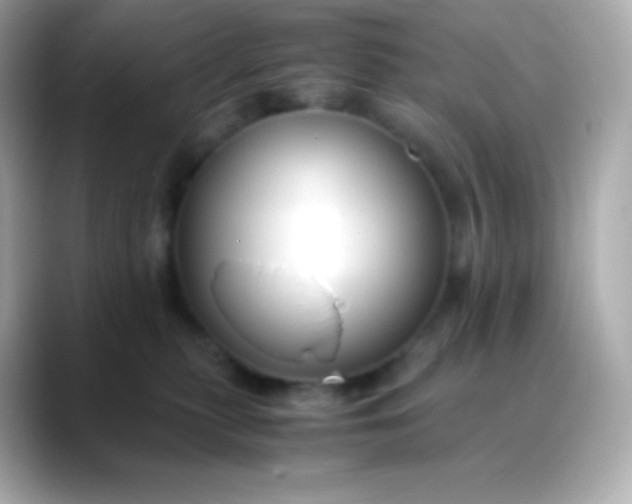 X0000088460279200706051330