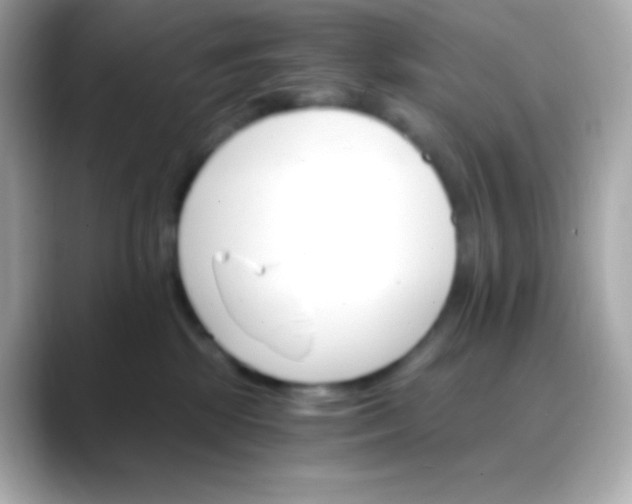 X0000088460281200706051330