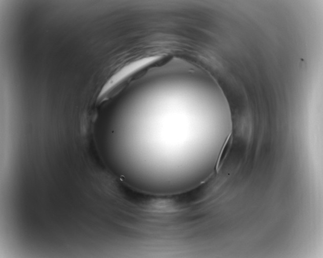 X0000088460283200706051330