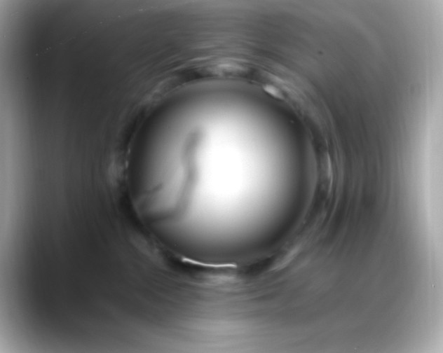 X0000088460284200706051330