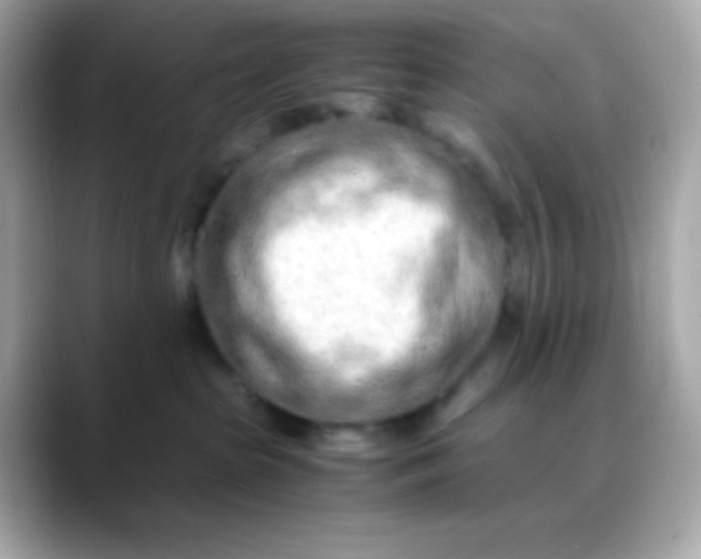 X0000088460285200706051330