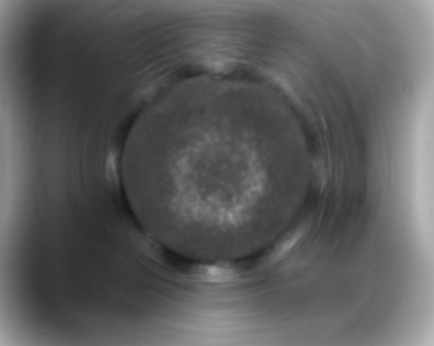 X0000088460286200706051330