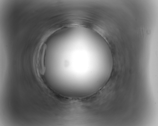 X0000088460289200706051329