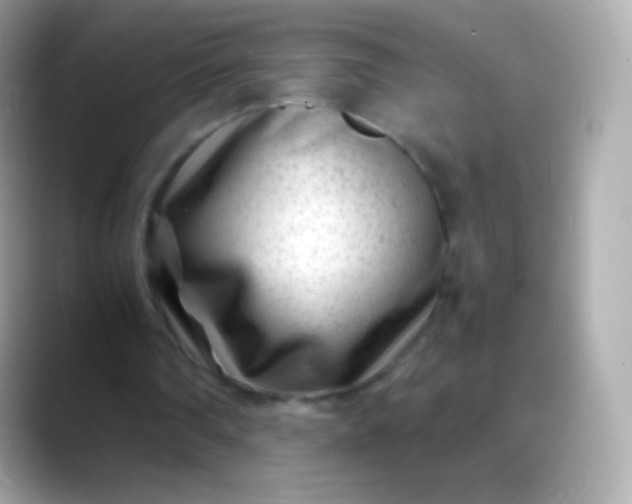 X0000088460290200706051329