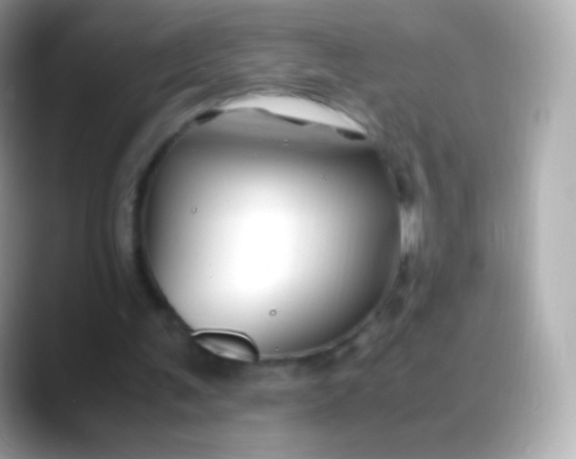 X0000088460291200706051329