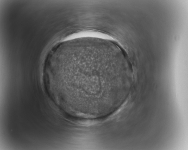 X0000088460293200706051329