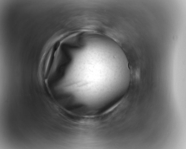 X0000088460294200706051329