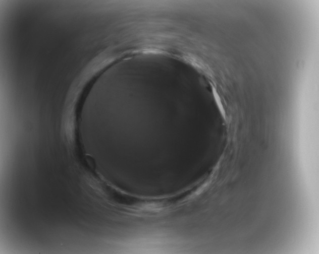 X0000088460295200706051329