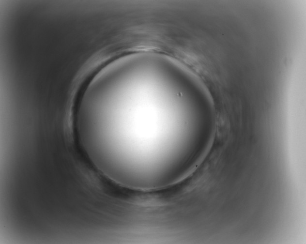 X0000088460296200706051329