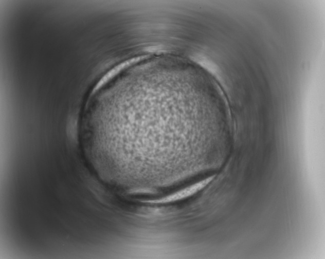 X0000088460297200706051329