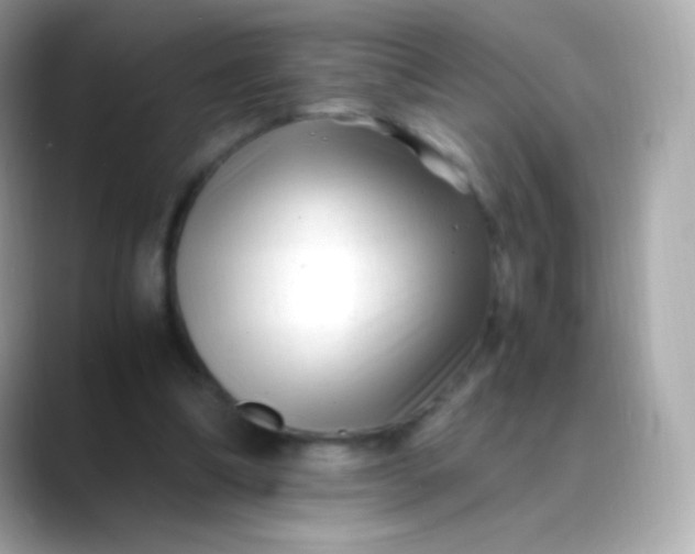 X0000088460298200706051329