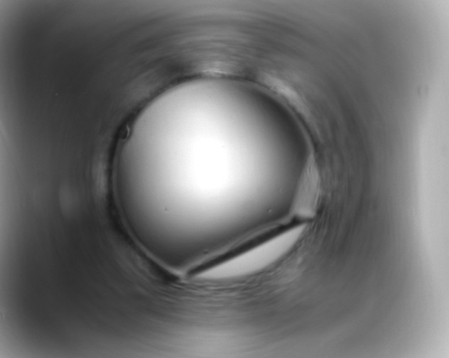 X0000088460299200706051329