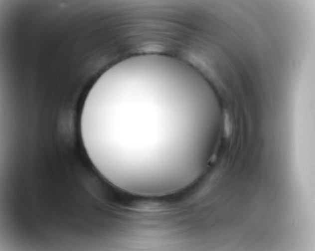 X0000088460300200706051329