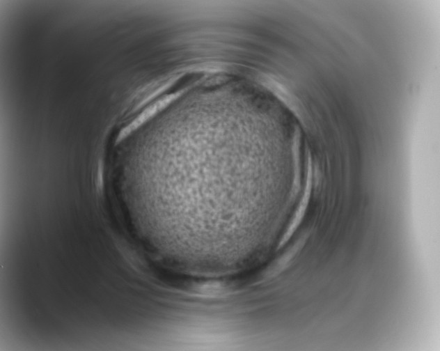 X0000088460301200706051329