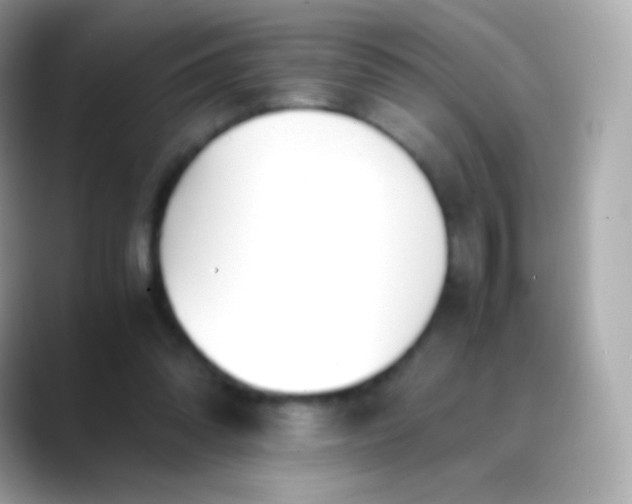 X0000088460302200706051329