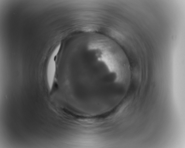 X0000088460303200706051329