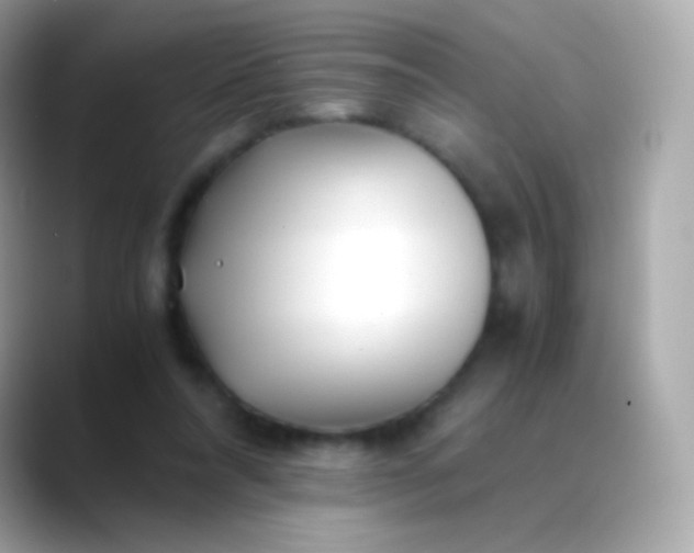 X0000088460304200706051329