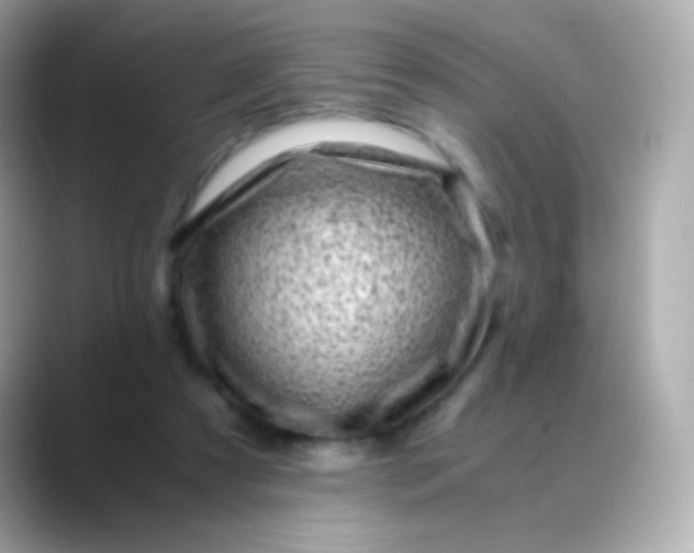 X0000088460305200706051329