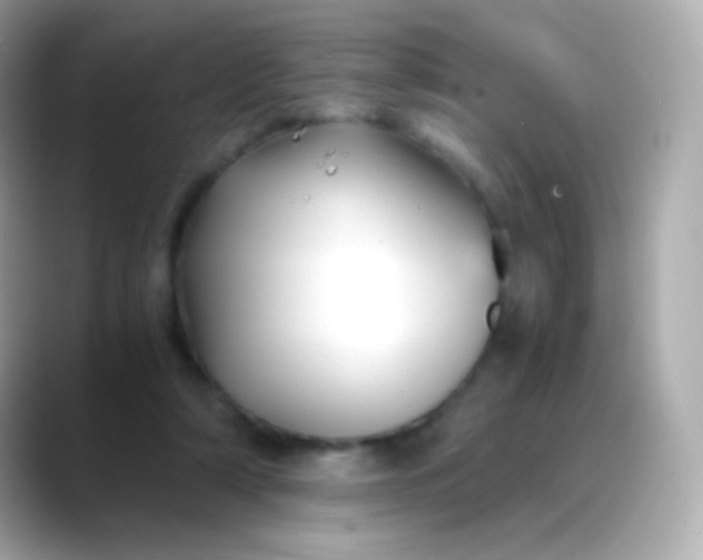 X0000088460306200706051329