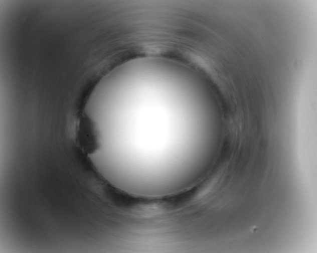 X0000088460307200706051329