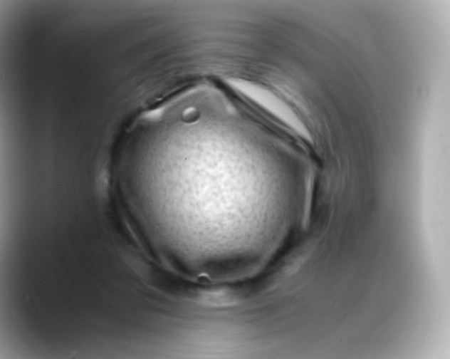 X0000088460309200706051329