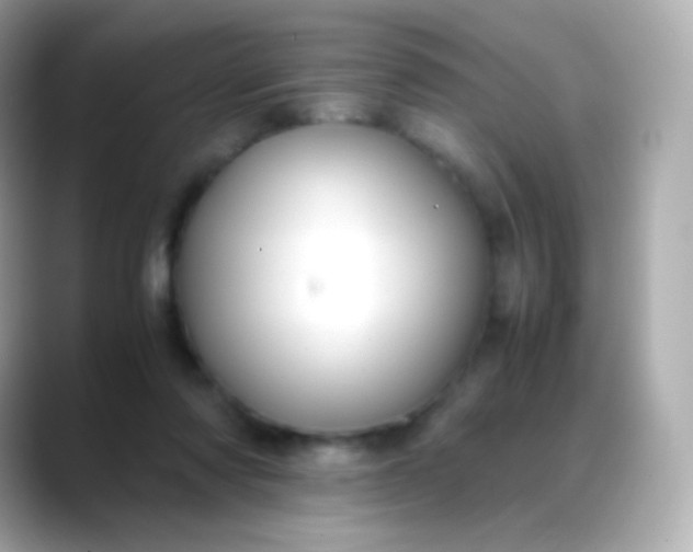 X0000088460310200706051329