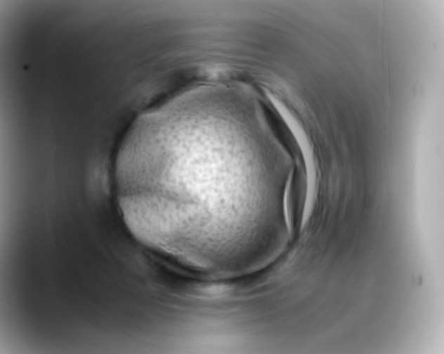 X0000088460313200706051329