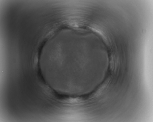 X0000088460314200706051329