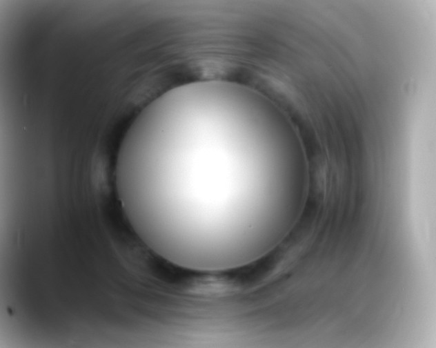 X0000088460316200706051329