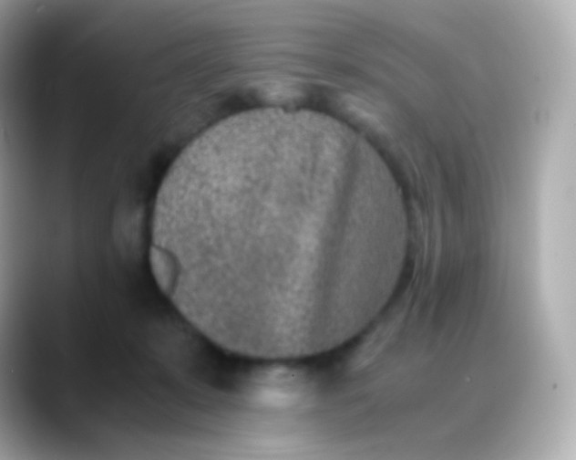 X0000088460319200706051329