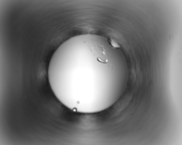 X0000088460320200706051329