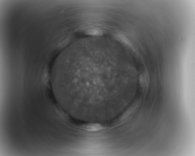 X0000088460322200706051329