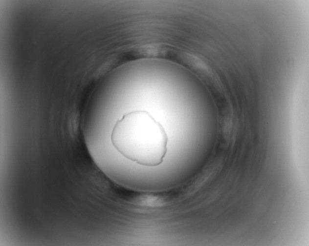 X0000088460326200706051329